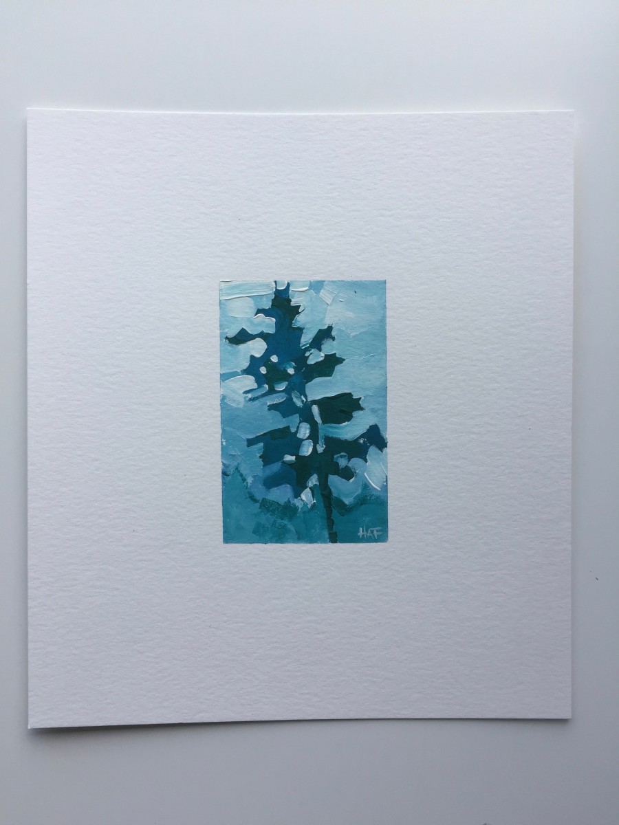 pine sketch by Holly Ann Friesen 