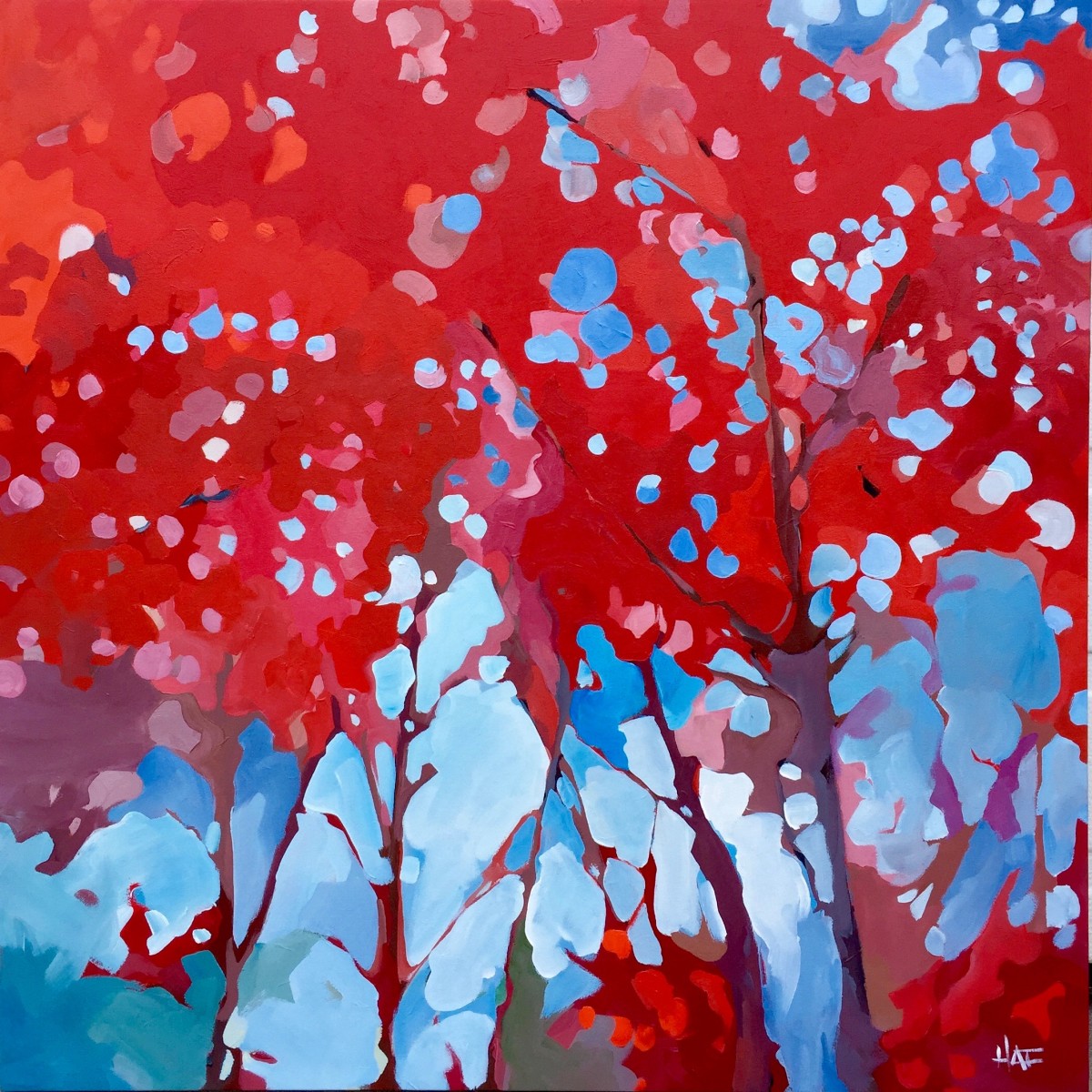 Red Skylight by Holly Ann Friesen 