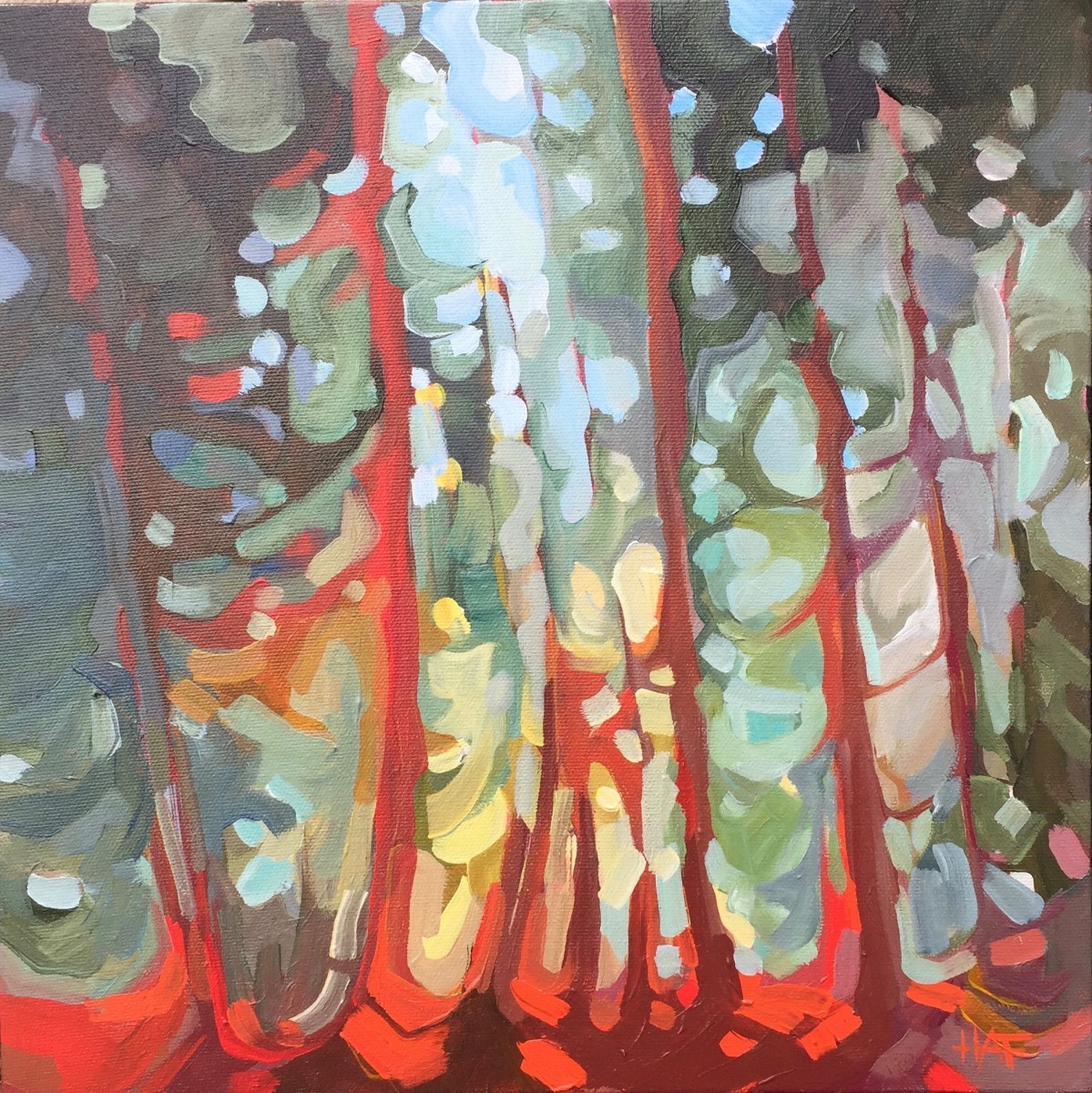 Dappled Light by Holly Ann Friesen 