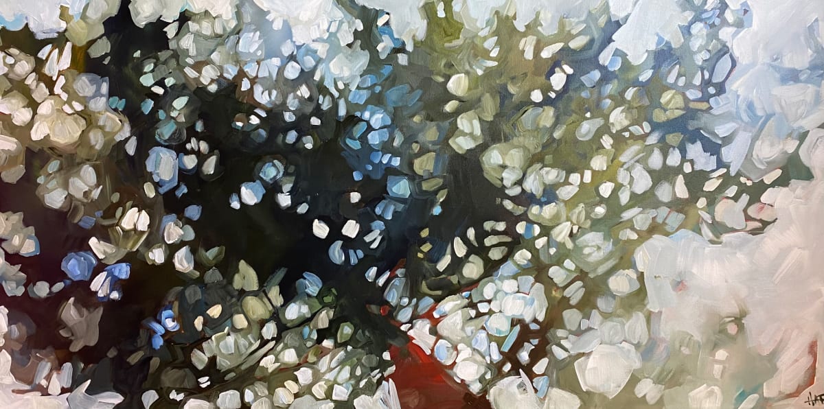 Look Up 50 by Holly Ann Friesen, Image 1.