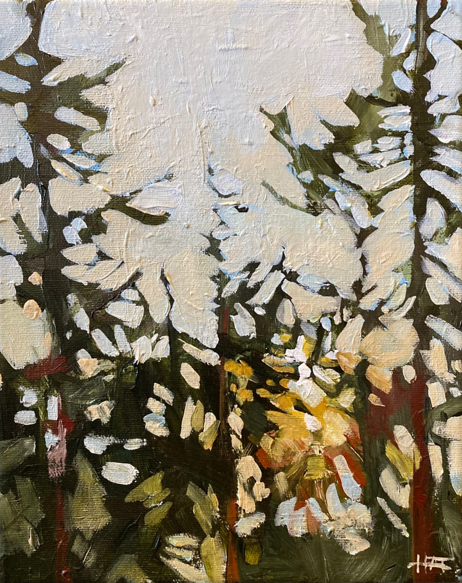 Morning Gold by Holly Ann Friesen 