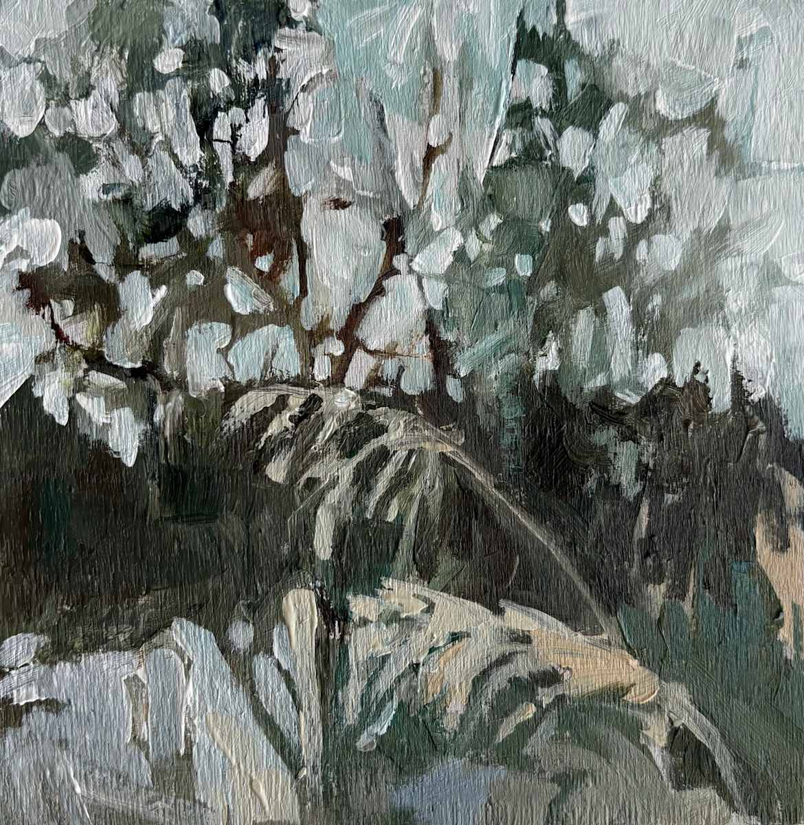 Morning Frost sketch by Holly Ann Friesen, Image 1.