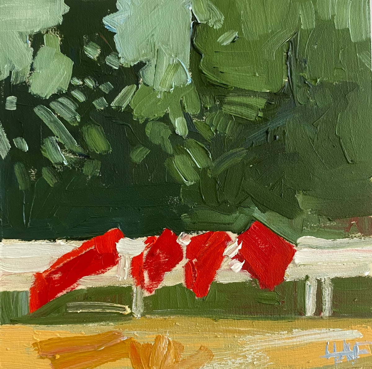 rushing river canoes 