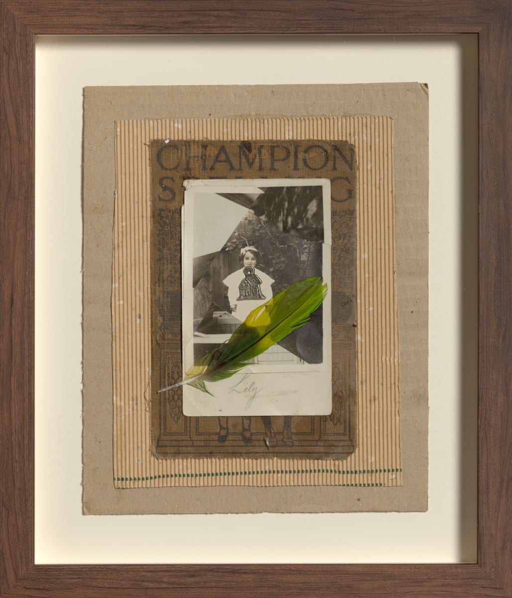 Totemic Champion by nancy kay turner, Image 1.