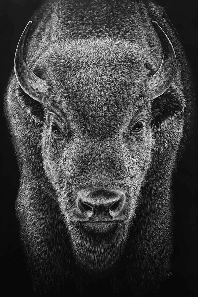 "Fearless" by Jennifer Kay, Image 1.