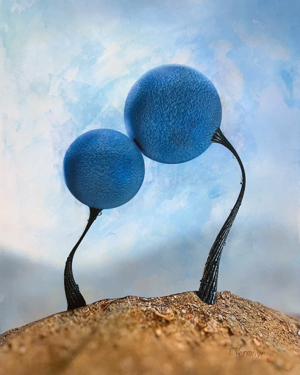 Amor Azul by Travis Vermilye | hyperstasis, Image 1.