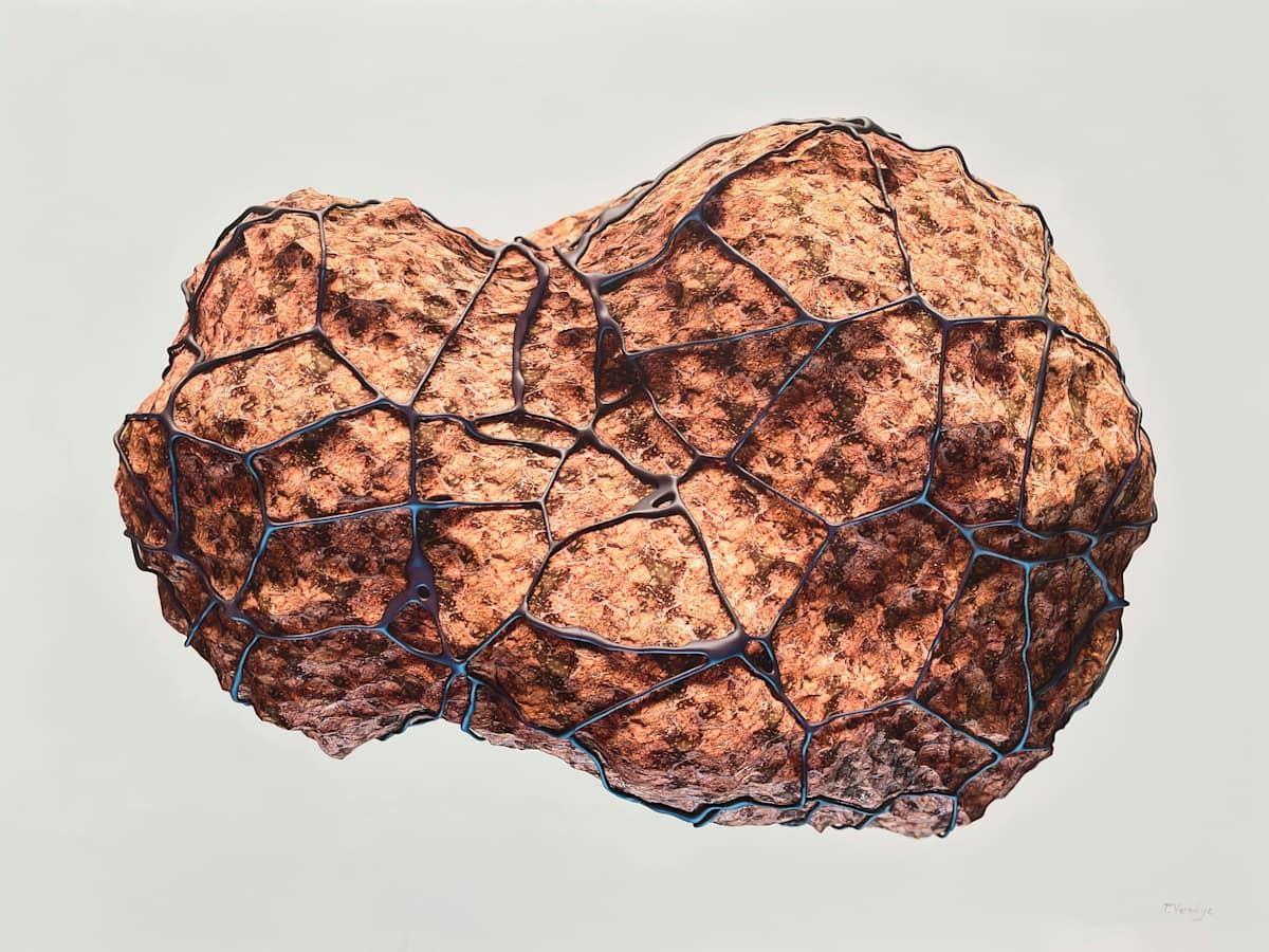 Network 001[Lichen] by Travis Vermilye, Image 1.