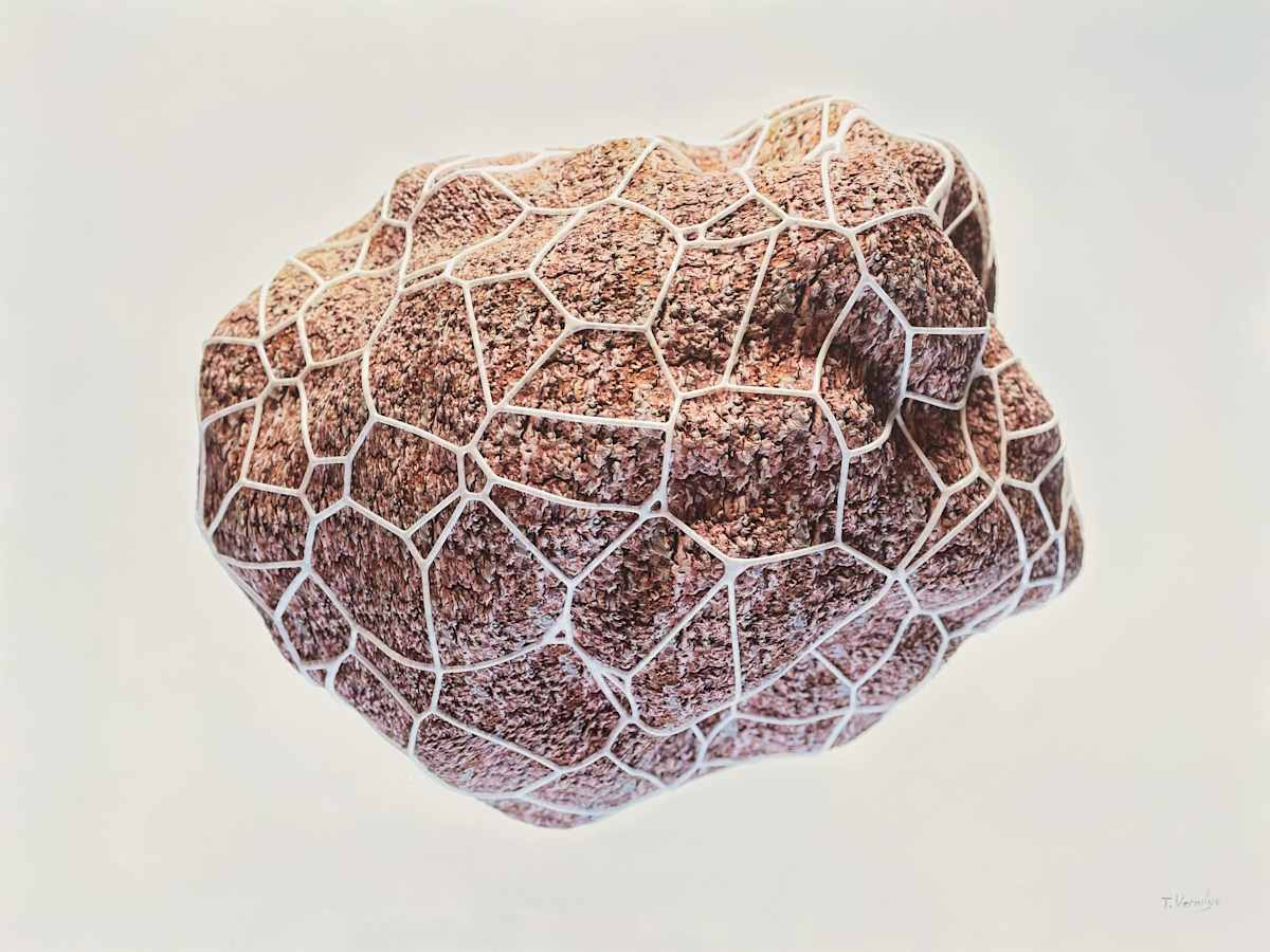 Network 003 [Pine] by Travis Vermilye, Image 1.