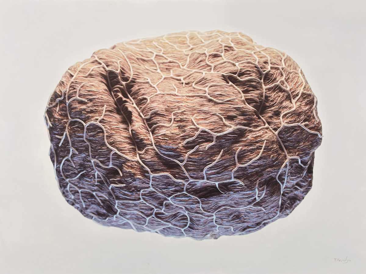 Network 004 [Wasp Paper] by Travis Vermilye, Image 1.