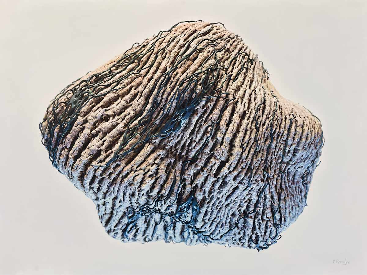 Network 006 [Ash] by Travis Vermilye, Image 1.