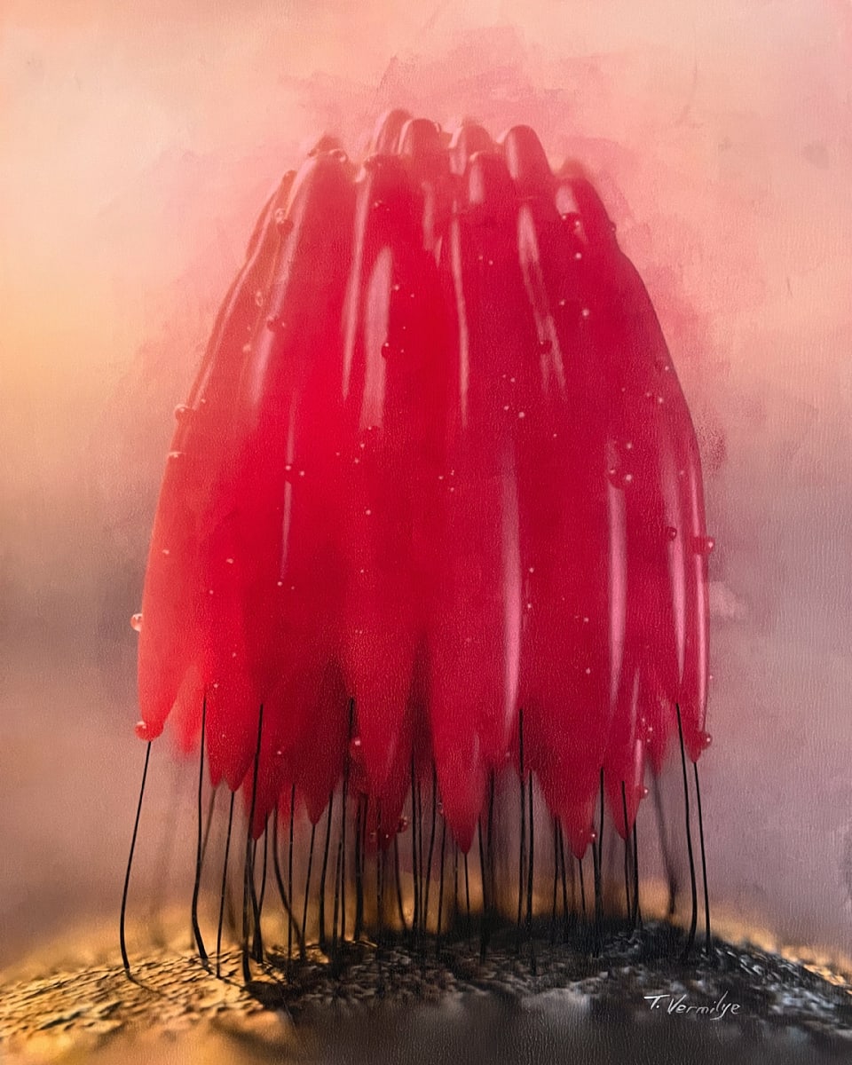 Red Huddle by Travis Vermilye | hyperstasis, Image 1.