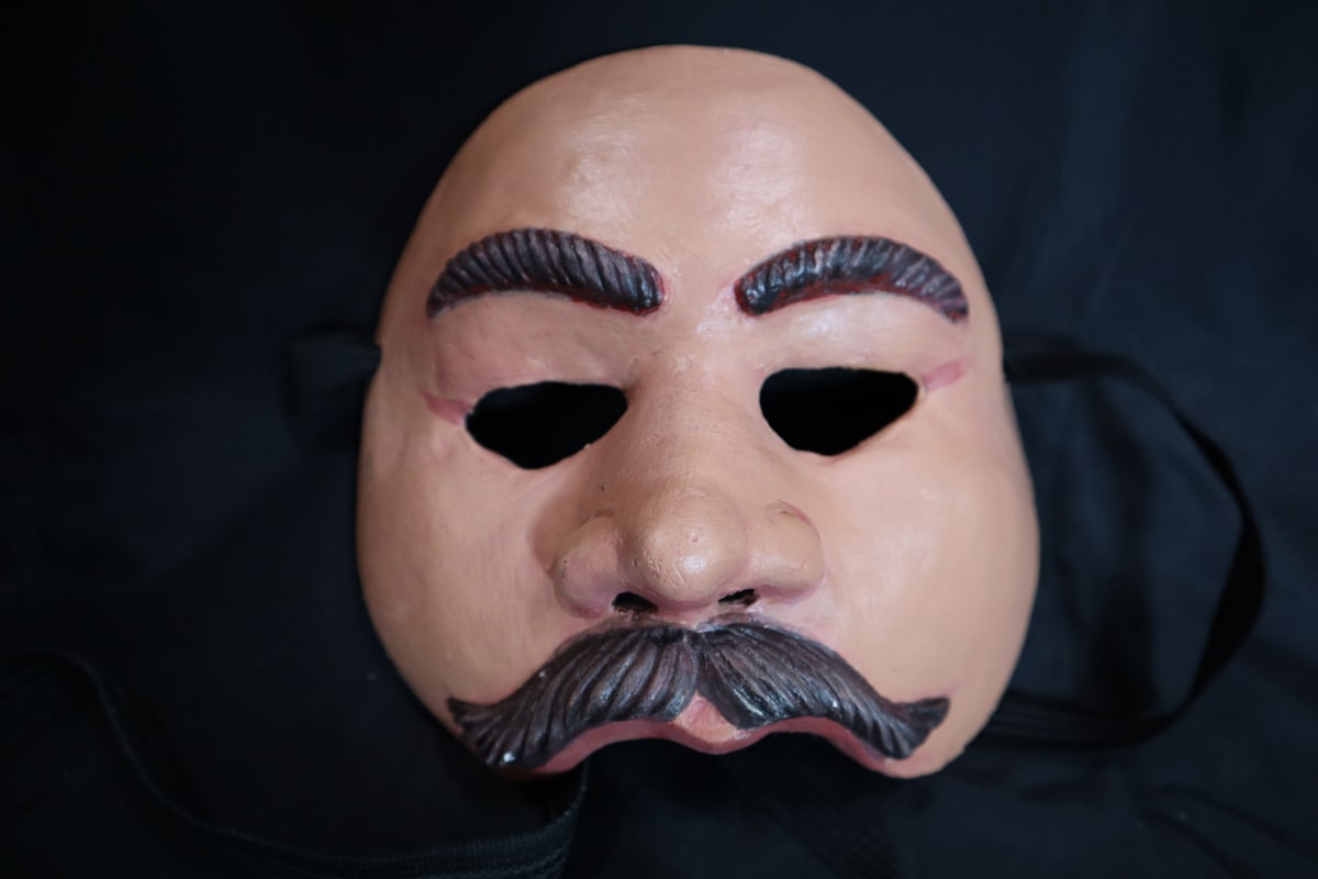 Gannet by Zarco Guerrero 