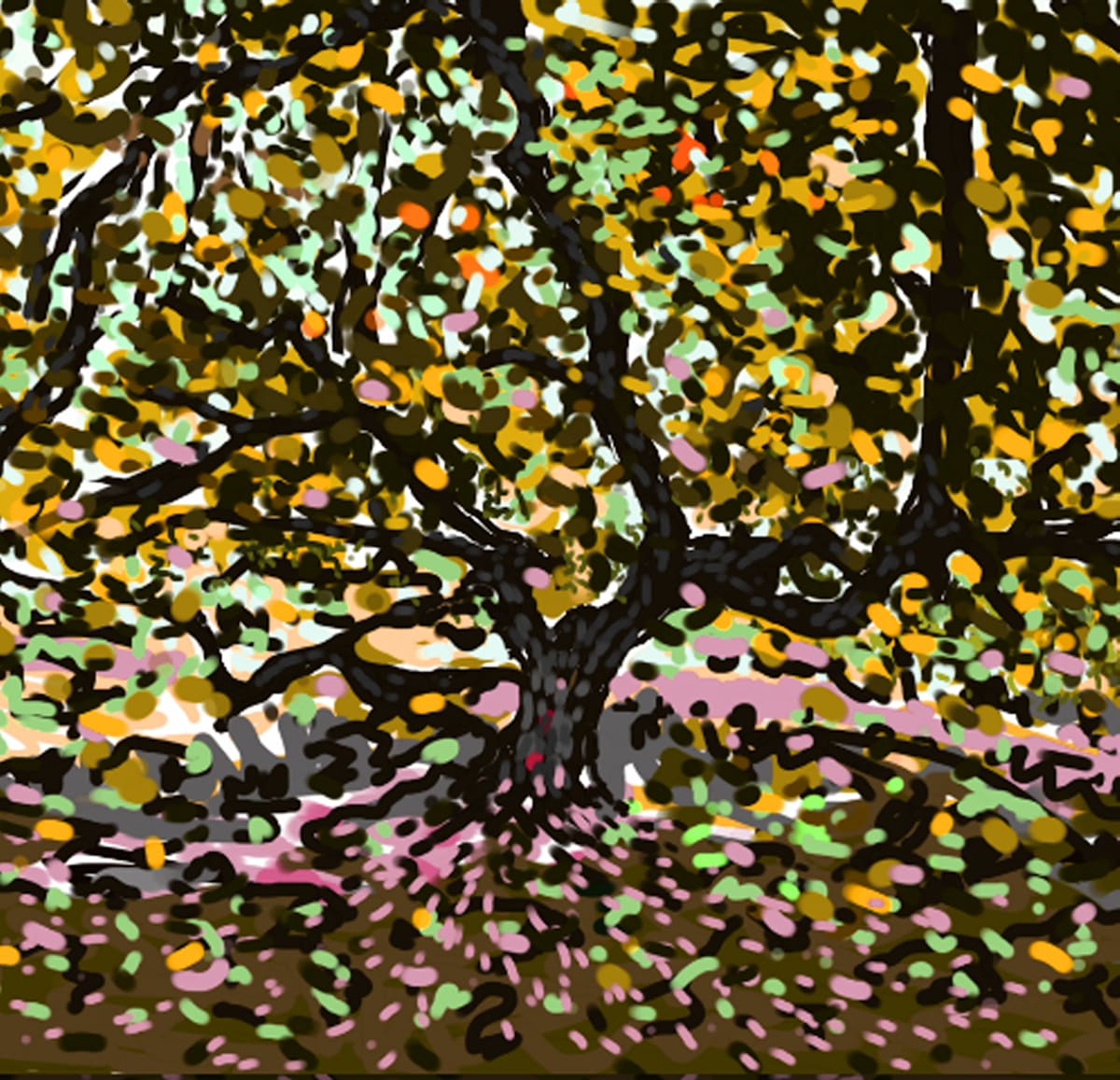 Maxwell Tree landscape 