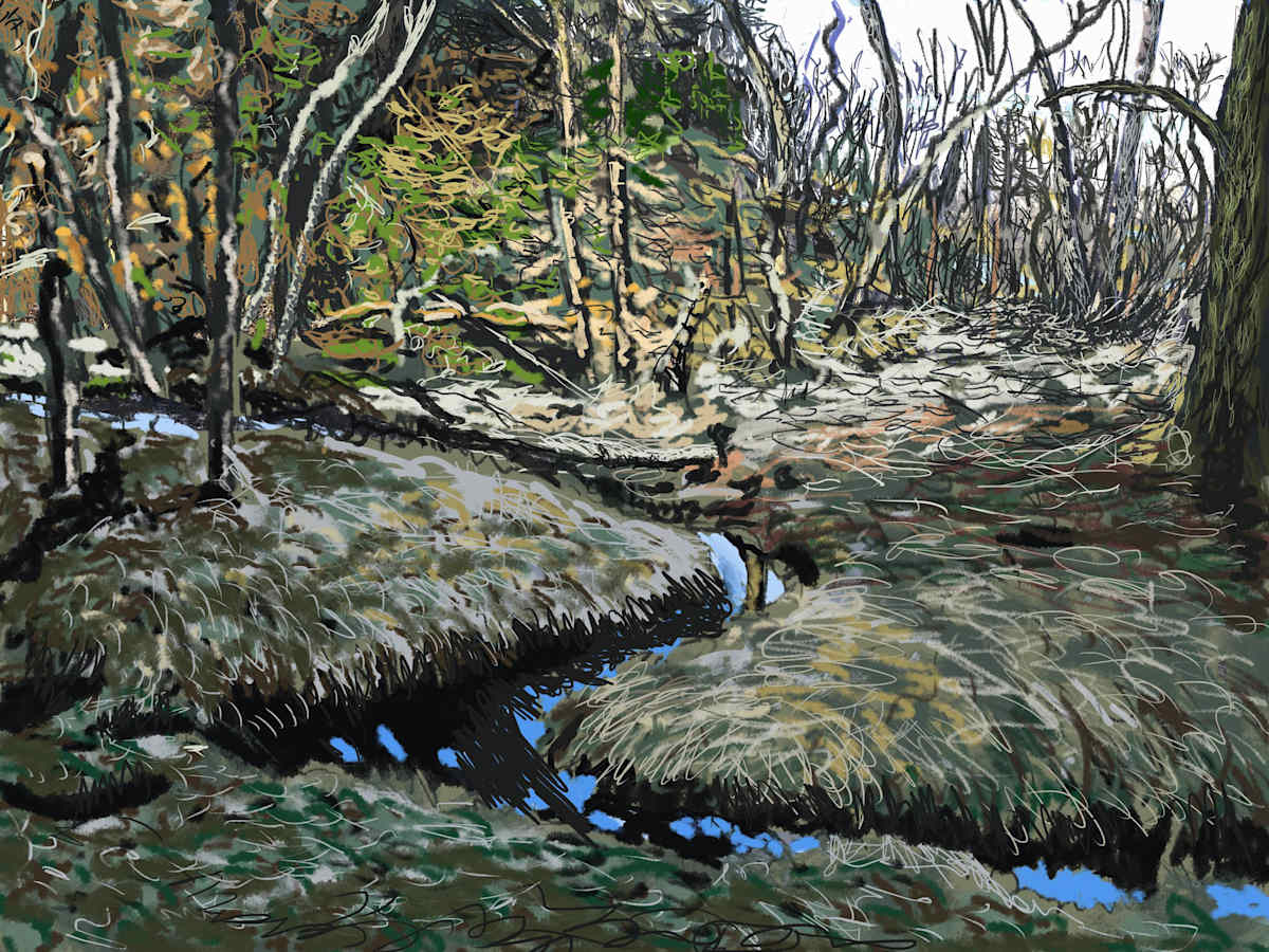Mugdock Marsh, Image 1.