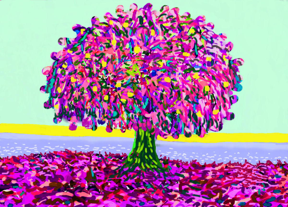 Pink Ragga Tree, Image 1.