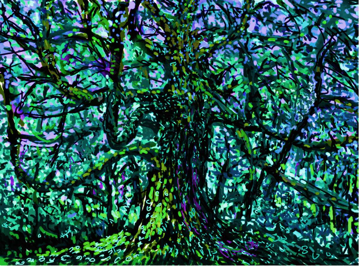 Tree in blue Applecross 