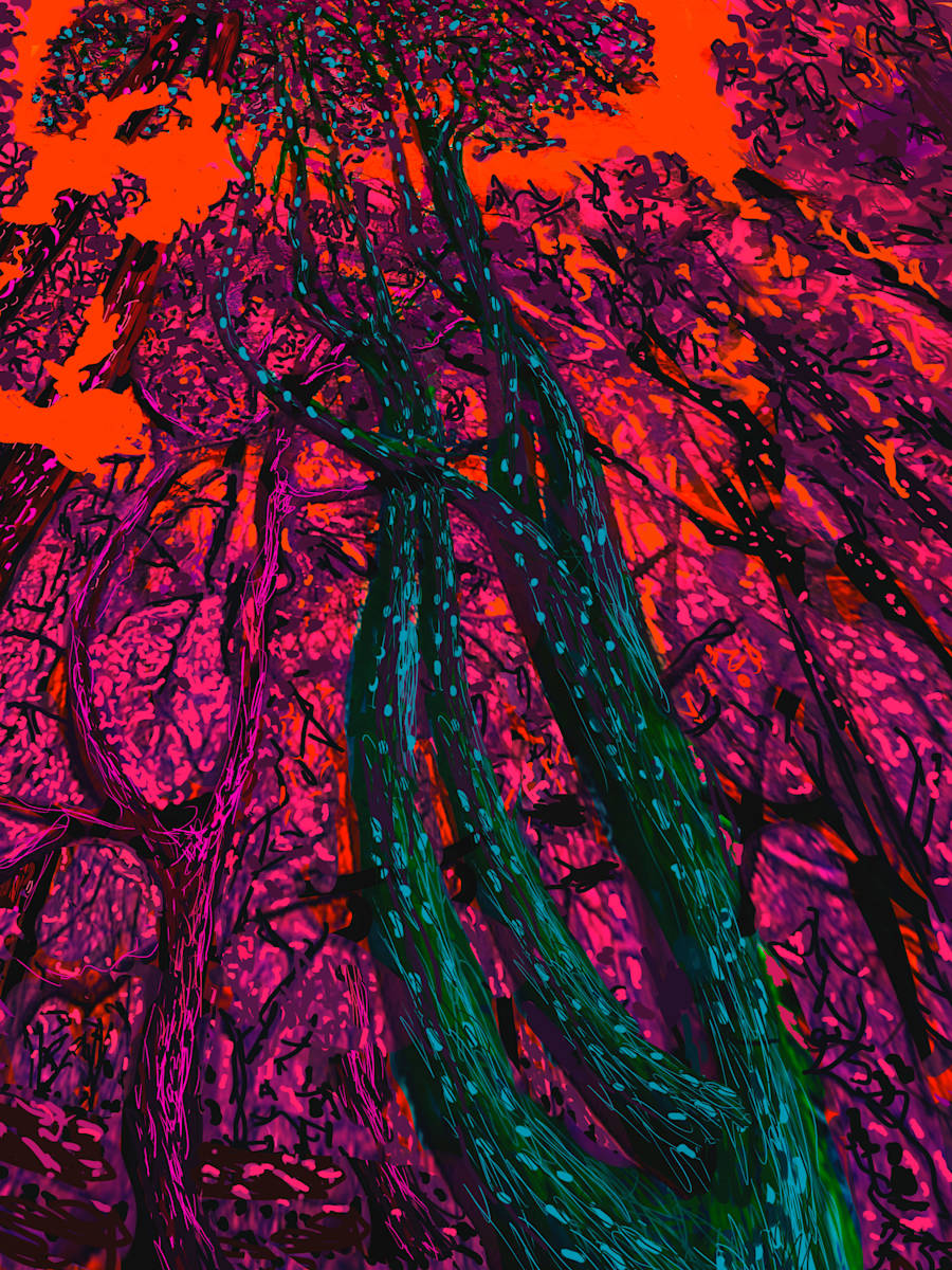 Forest radiating, Image 1.