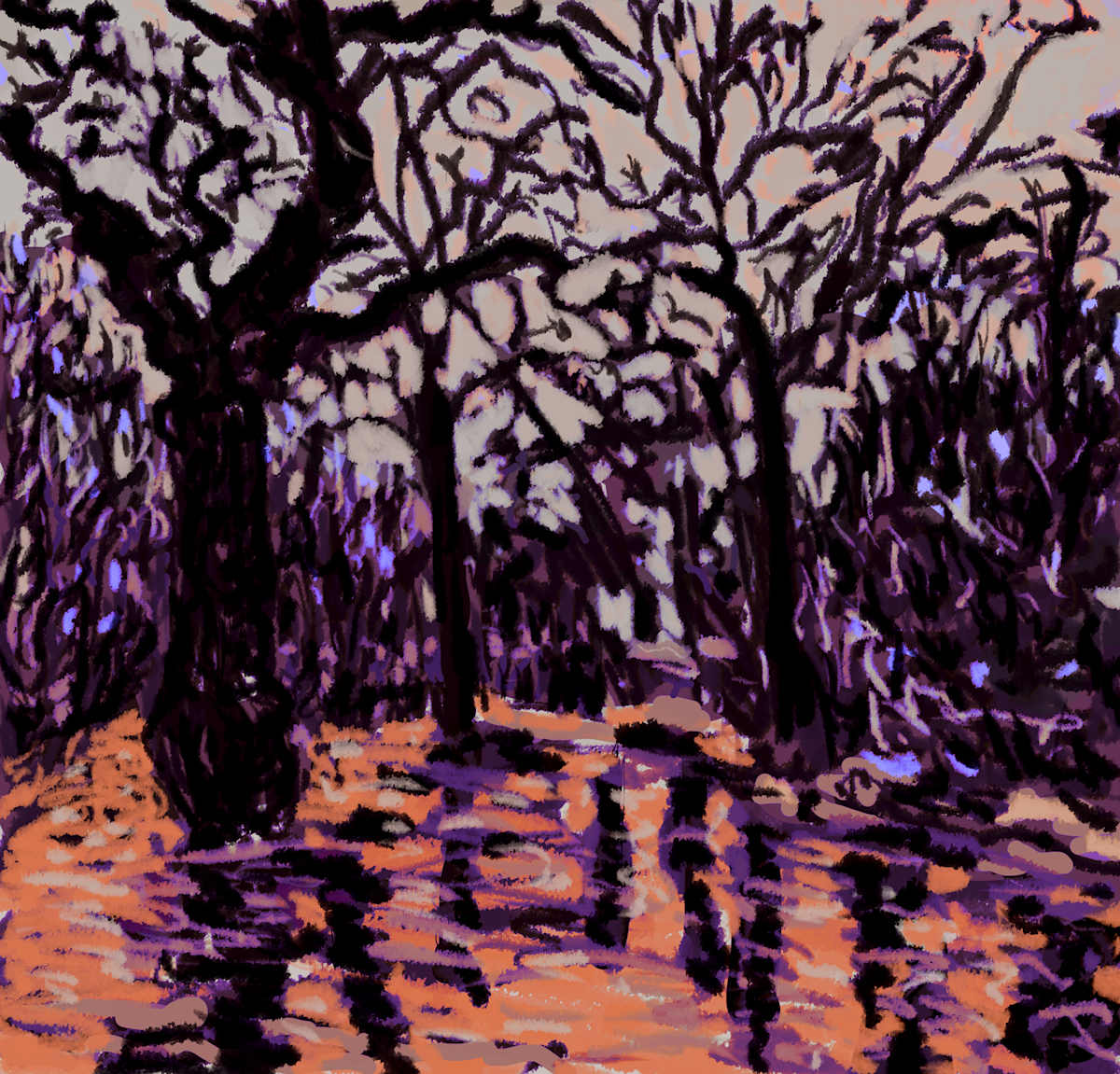 Forest sunset, Image 1.