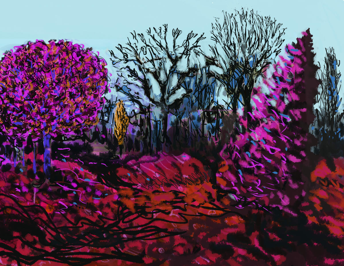 Maxwell Park evening light 