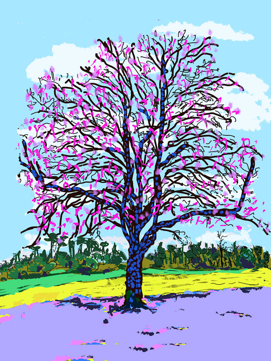 Tree in bloom, Image 1.