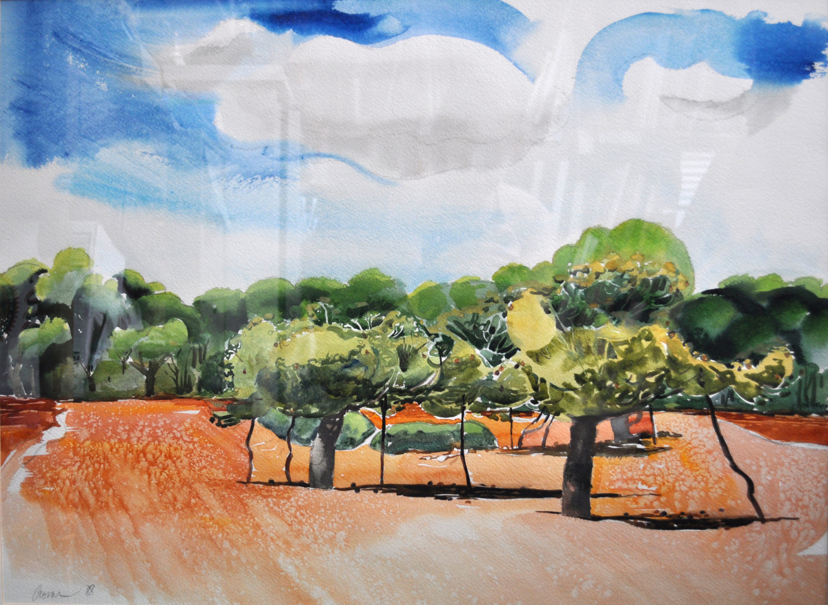 Untitled (Provence, Almond Grove) by Daniel Cromer 