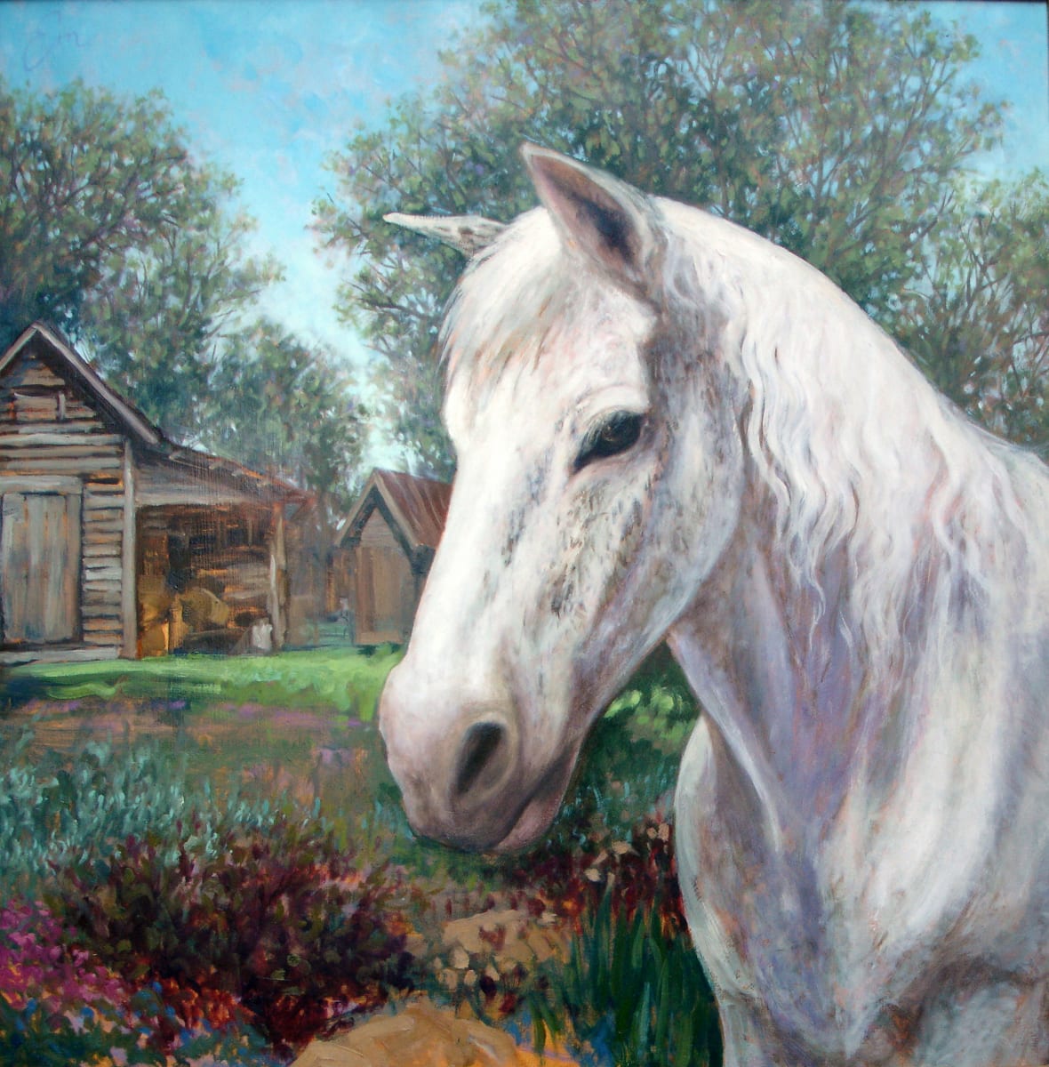 Mandy, Durham's Free Ranging Horse  Image: Mandy lived on land surrounded by forest, but met the school bus daily. The owners would only sell their extensive acerage as long as Mandy's grave was safe from future developement. This land became Hollow Rock Nature Park. Mandy lived to 30+ years. This painting I did of the beloved Mandy for my book "Saving Magic Places".