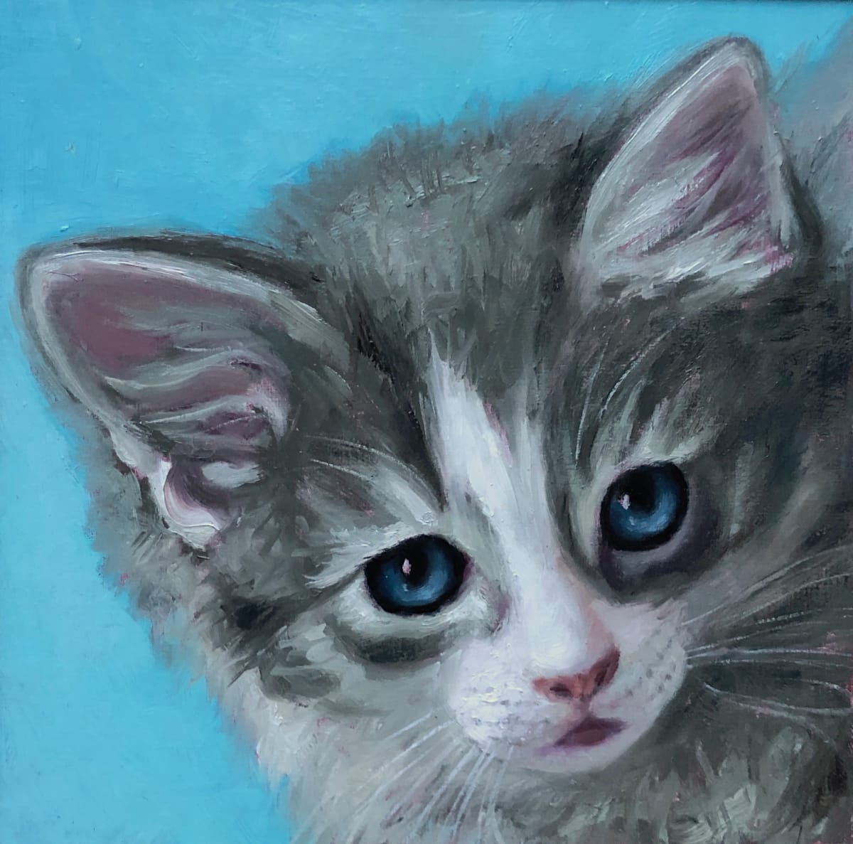 Blue Cream Kitten by Emily Eve Weinstein  Image: One of my foster kittens.