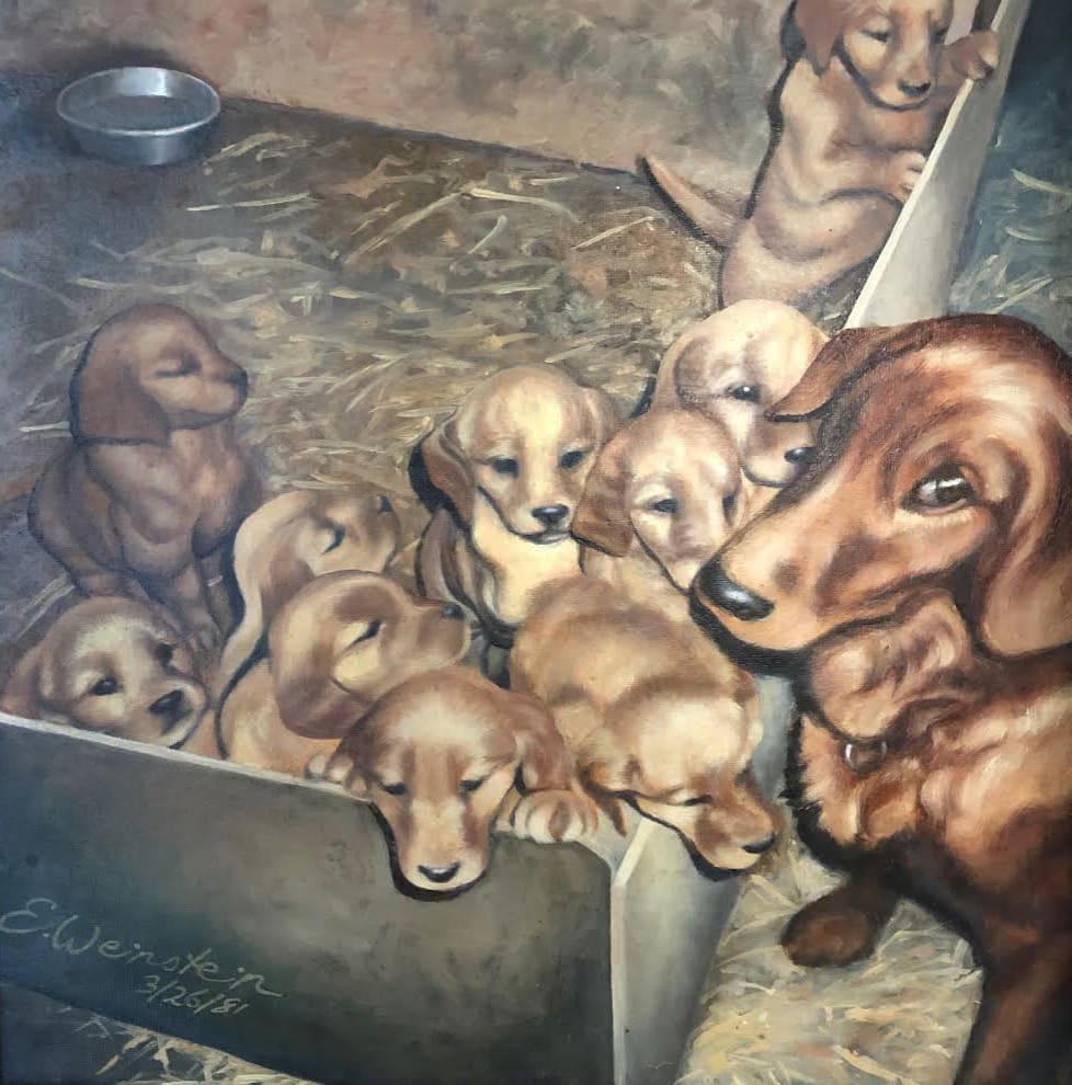Golden Labs, Image 2.