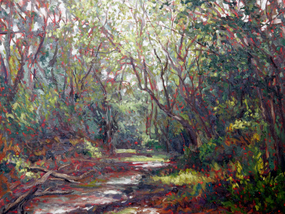 Hollow Rock Stream, Image 1.