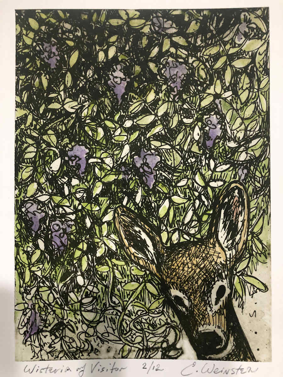 Deer in Wisteria by Emily Eve Weinstein, Image 1.
