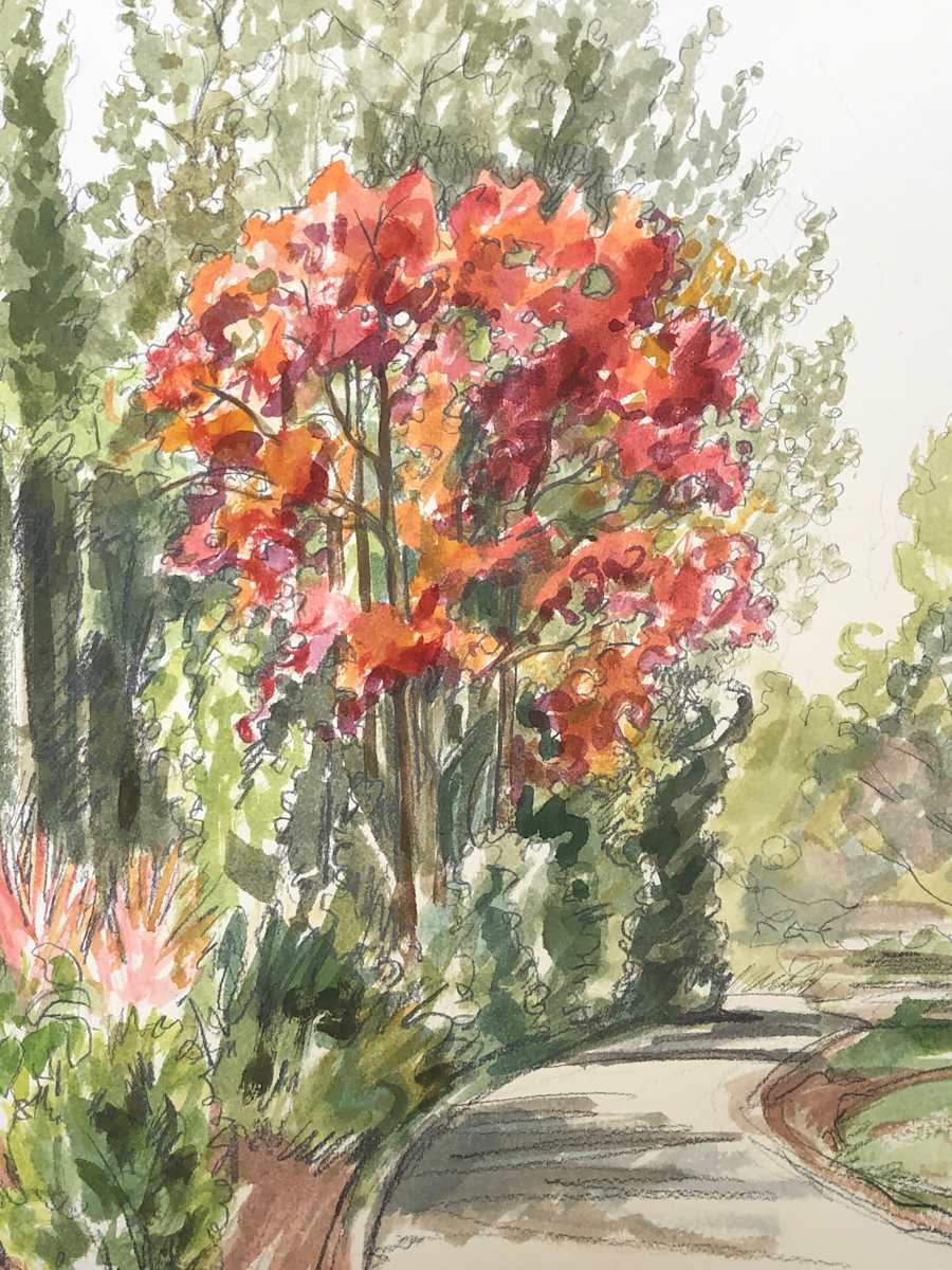 Red  Maple by Emily Eve Weinstein, Image 1.