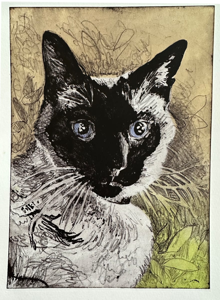 Chat aux Yeux Bleus by Emily Eve Weinstein  Image: With two colors pulled - muted version, with eyes painted in watercolor.