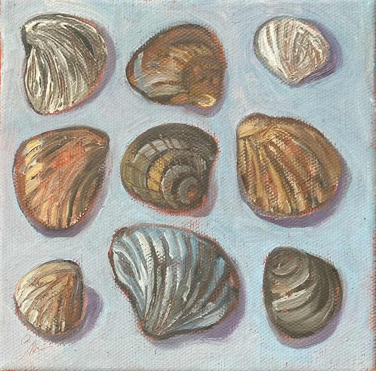 Shell Collection by Emily Eve Weinstein, Image 1.