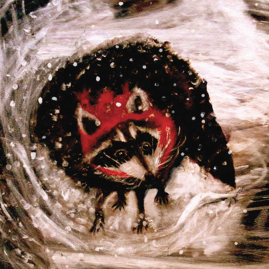 Little Racoon by Holly Sedgwick 