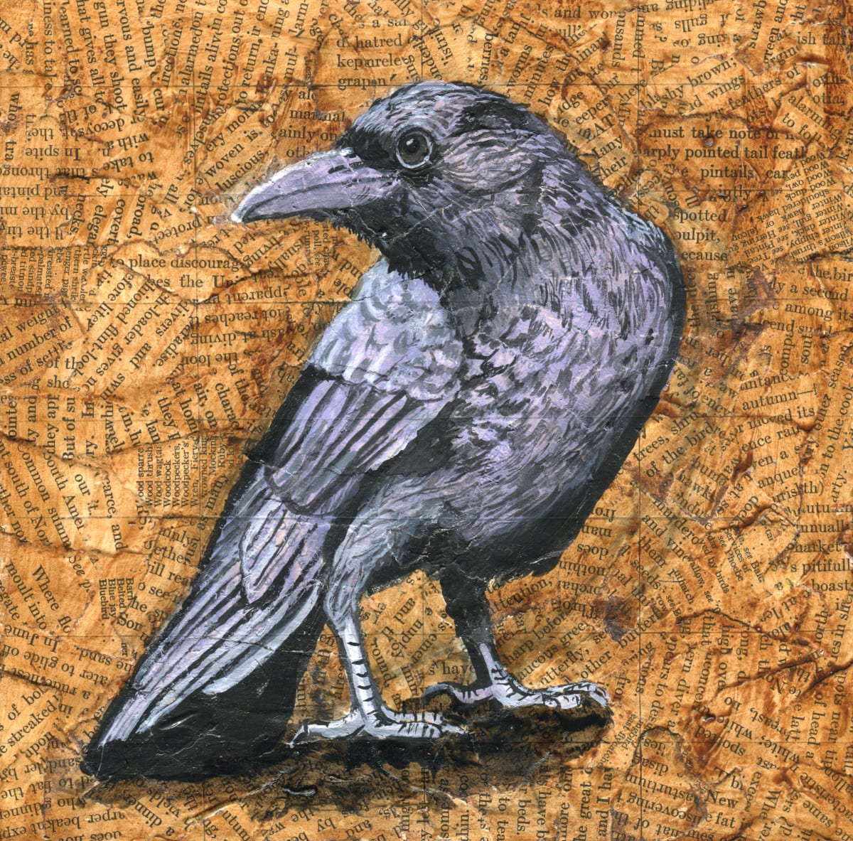 Crow, 2nd Attempt by Lisa Wiertel 