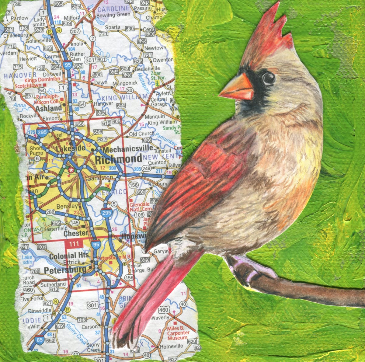 I-95 Cardinal by Lisa Wiertel 