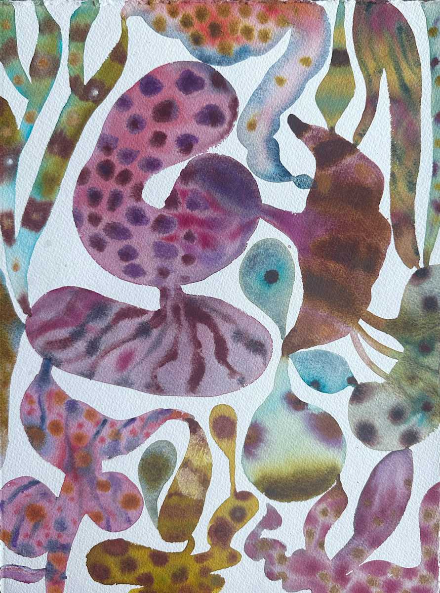 Velvet Bloom 5 by Stephanie Sachs 