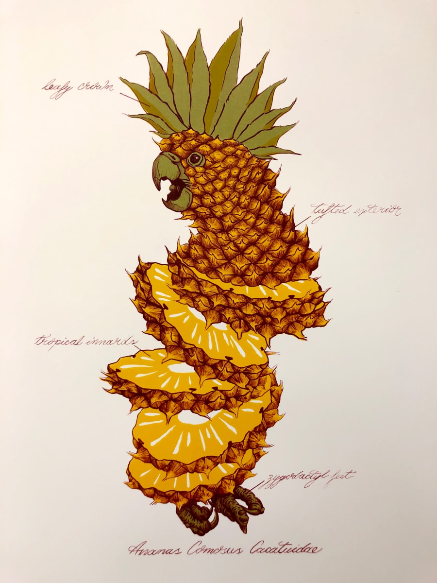 Ananas Comosus Cacatuidae by Maxwell Roath  Image: three run lithograph collaboration with Emery Spina