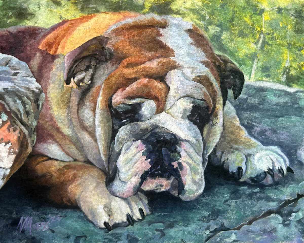 Norbert by Maxwell Roath, Image 1.