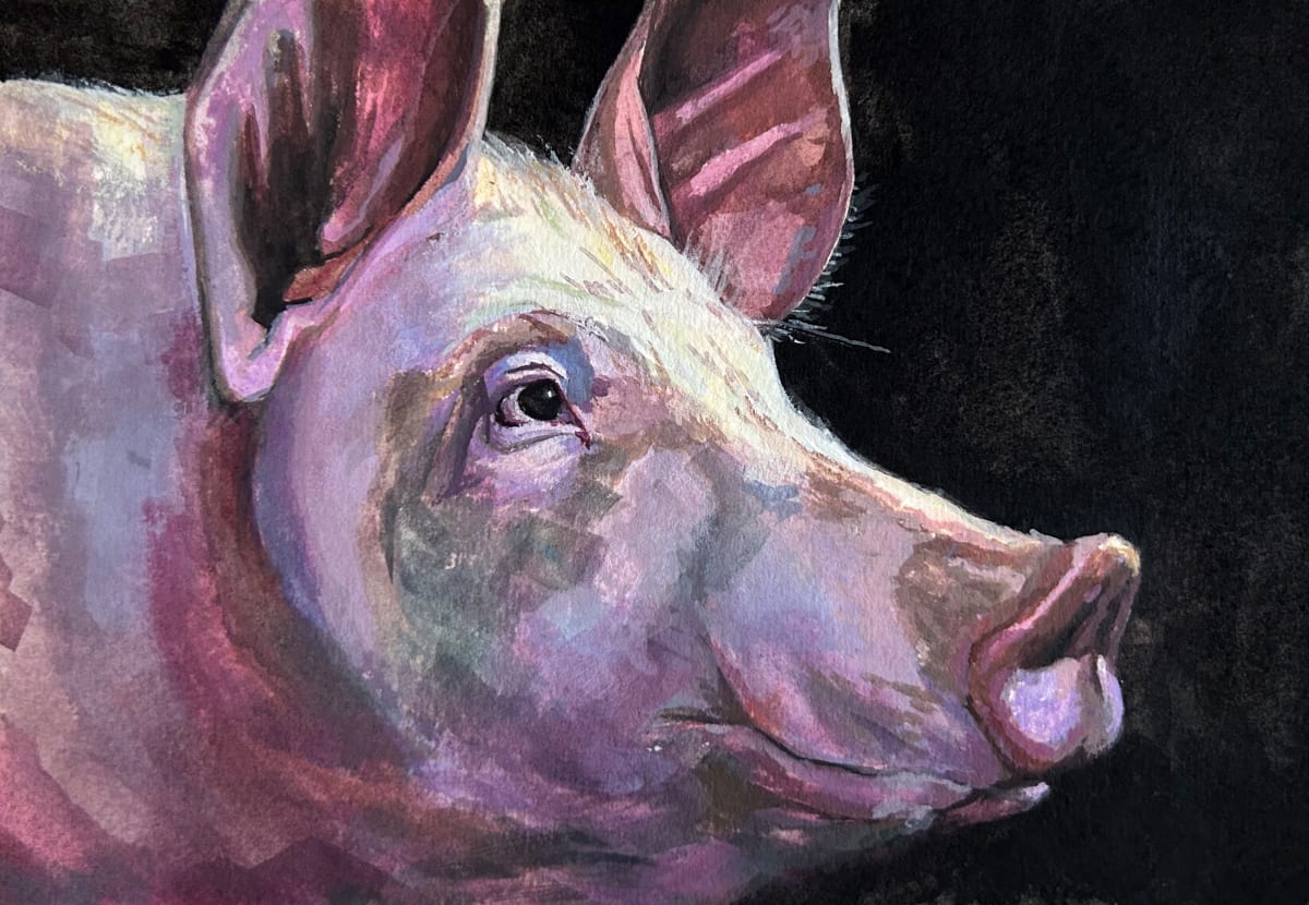 I Floop the Pig by Maxwell Roath, Image 1.