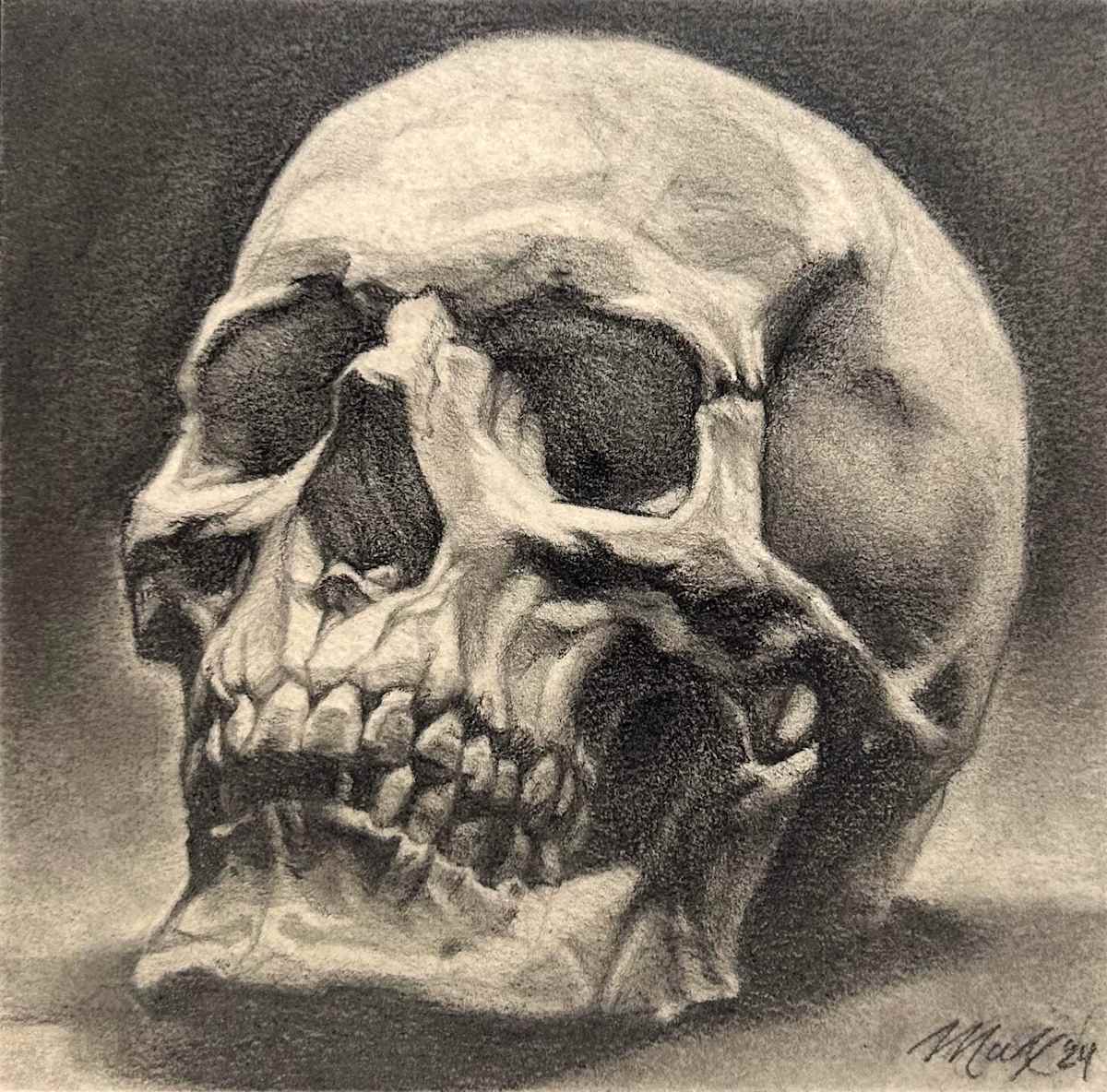 Skull by Maxwell Roath 