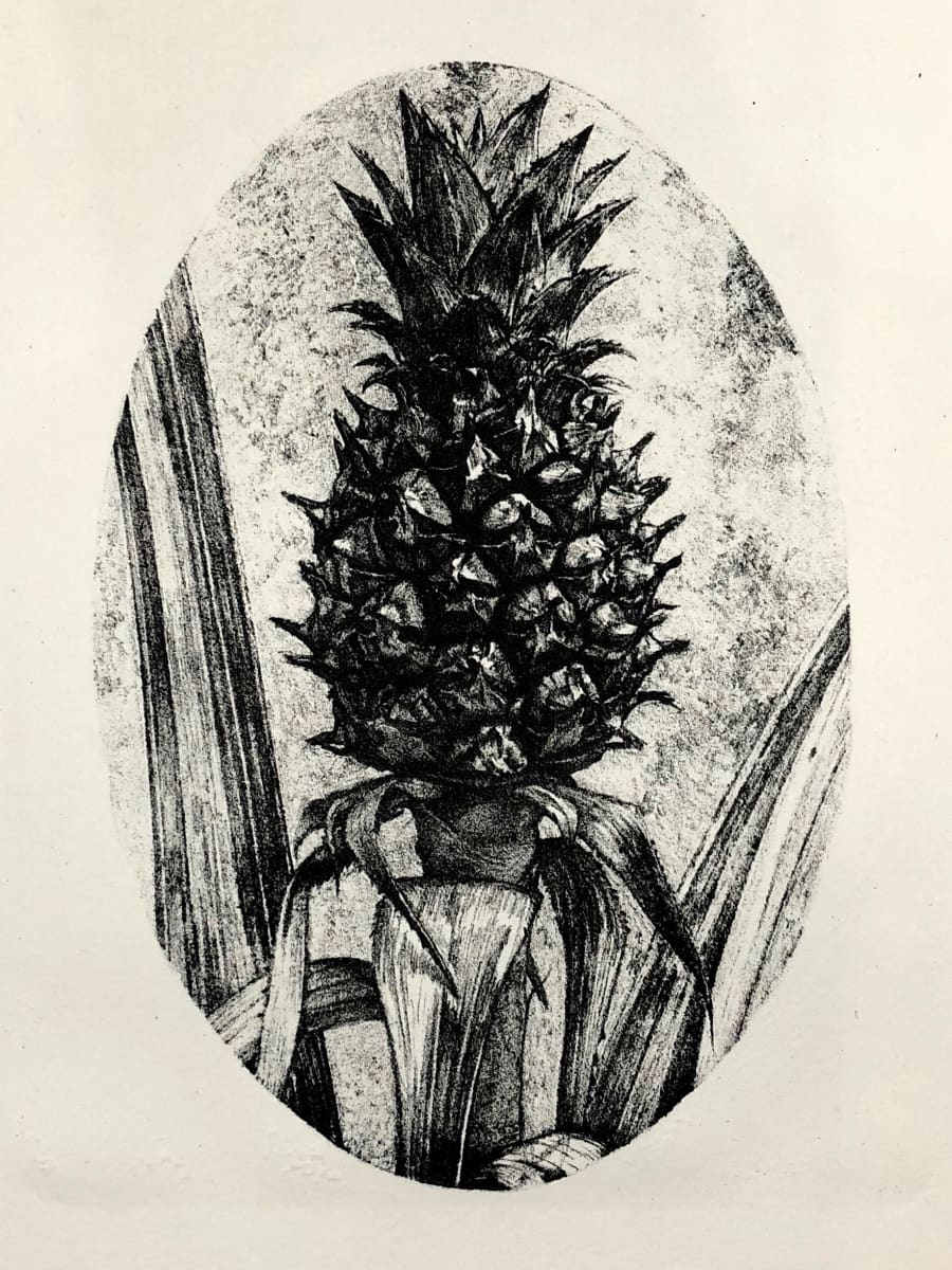 The Little Pineapple 