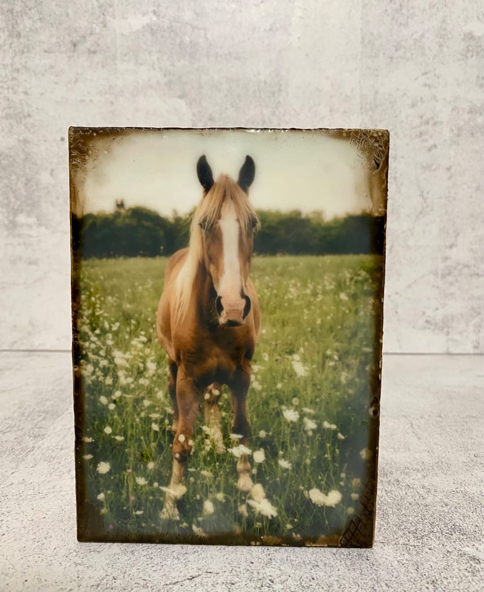 Standing Tall by Scorpio Encaustics 