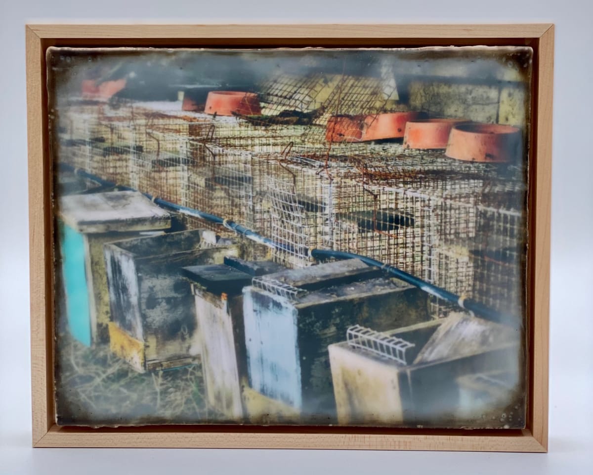 Caged In by Scorpio Encaustics 
