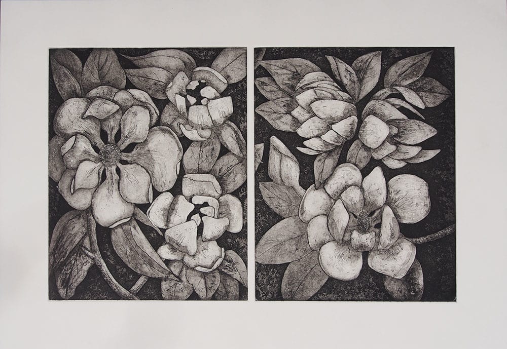 Magnolias Diptych by Carolyn Howse 
