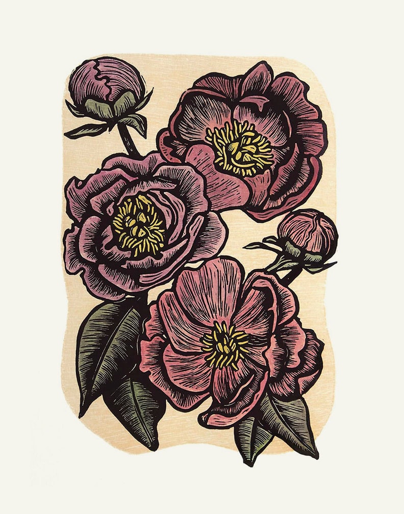 Peonies by Carolyn Howse 