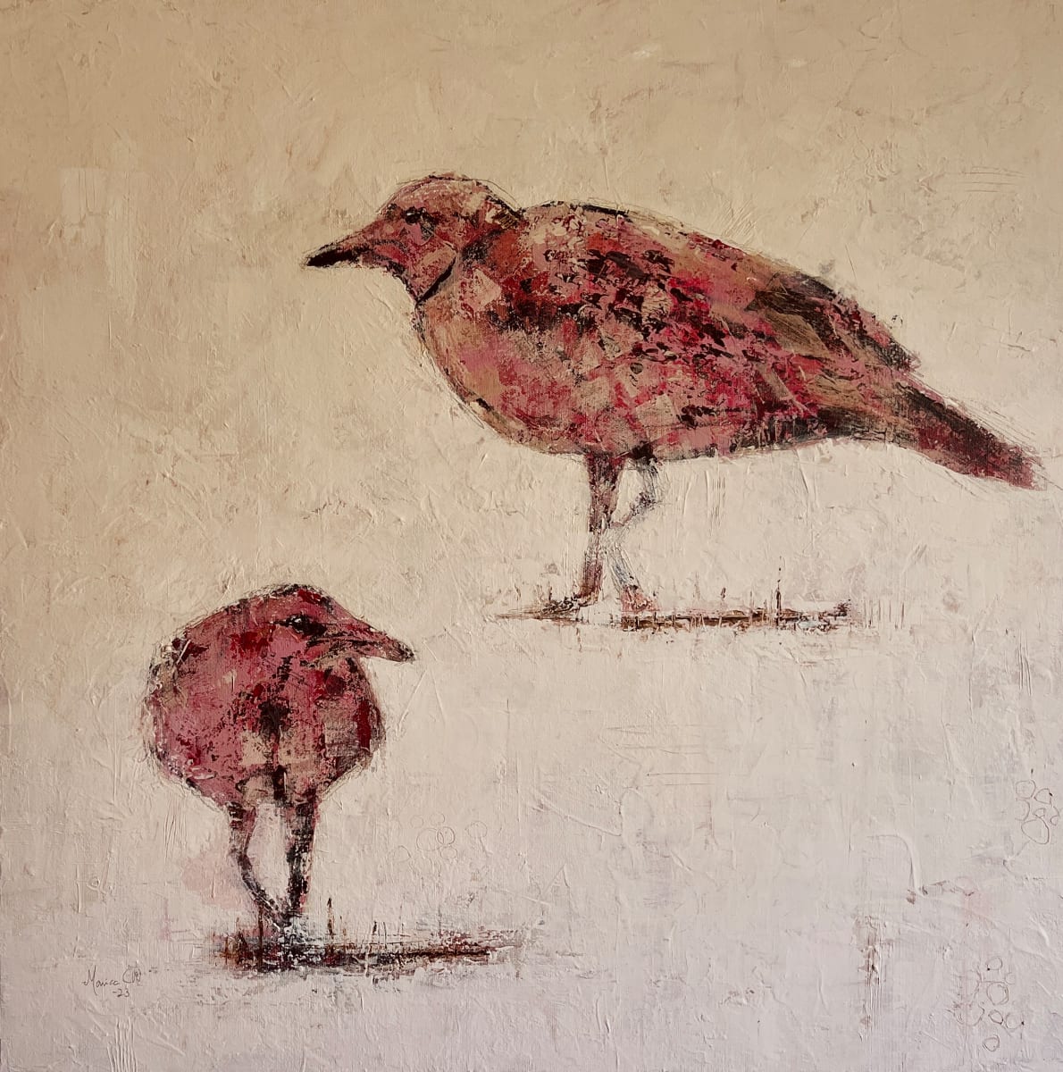 Måkeliv by Monica Cecilie Nilsen 