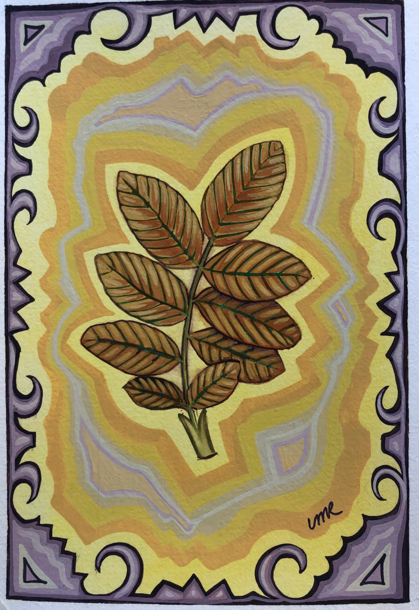 Laurel leaf Yellow 