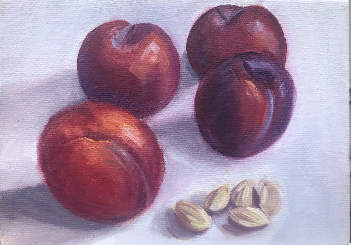 Study-Plums 