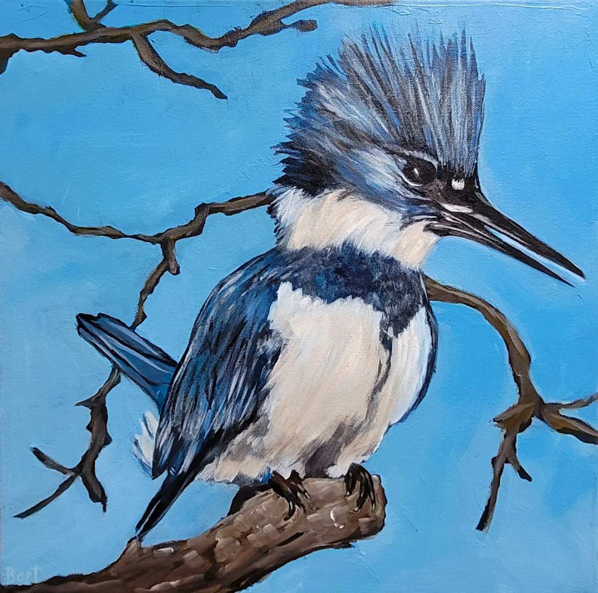 Belted Kingfisher by Sylvie Bart  Image: Belted Kingfisher